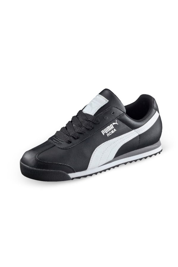 Roma Basic Roma Basic