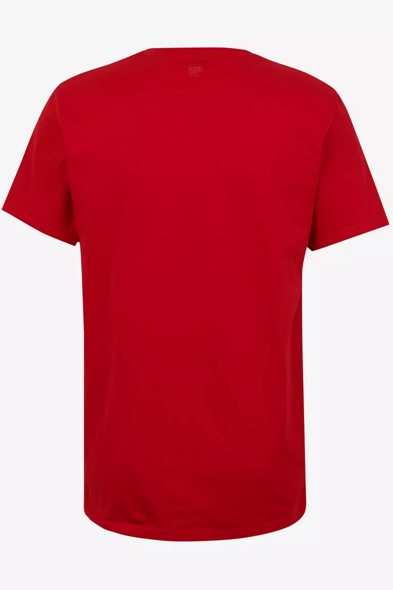 Pánske tričko BLANE (2)